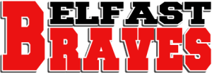 Brave Logo
