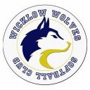 Wicklow Wolves Logo