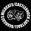 Castlenock Logo